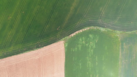 Luftaufnahme-Eines-Feldes-Mit-Grün-Sprießender-Jungvegetation-Und-Gelber-Ungrüner-Feldoberfläche,-Abstrakter-Eindruck