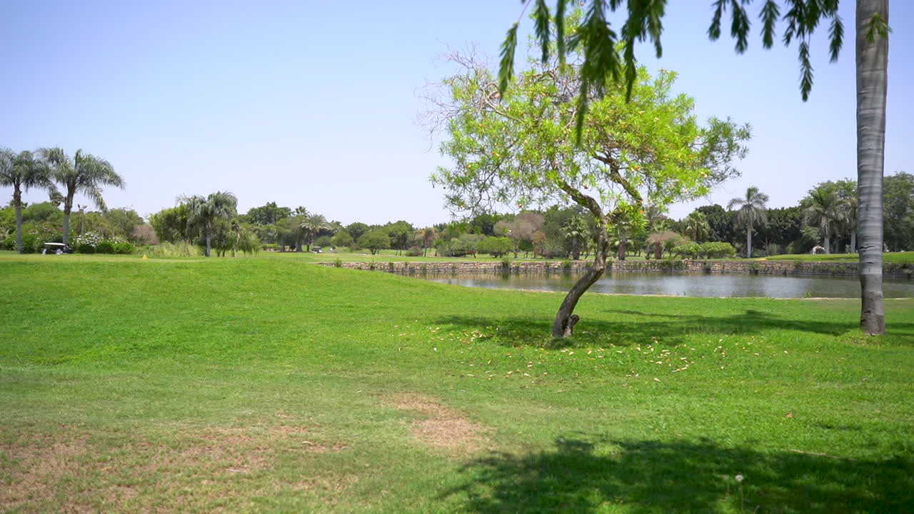 Lapangan golf yang indah dengan rumput hijau, pepohonan, danau, dan rumput bulu pada hari yang cerah
