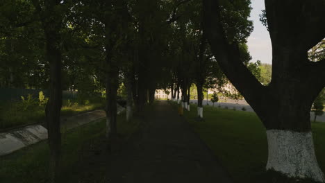 walkway at the park lined with painted trees in chitakhevi, georgia at daytime