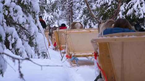 a peaceful reindeer sled journey in finnish lapland, filmed from a pov perspective. multiple sleds with tourists glide through the snow-covered scenery of rovaniemi.