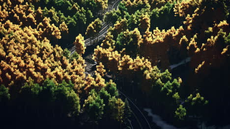 aerial view of winding road through autumn forest