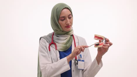female dentist demonstrating tooth brushing technique with dental model