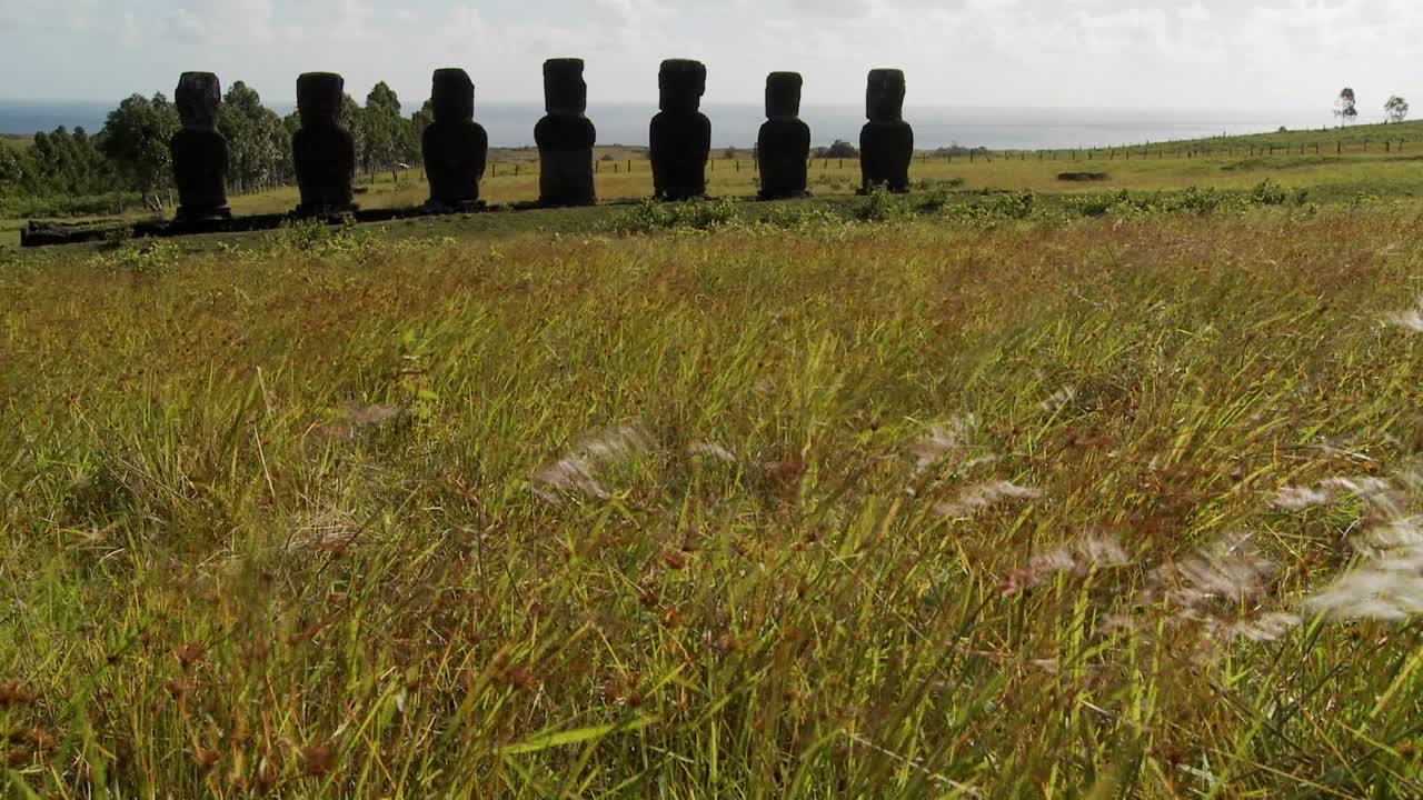 трава растет перед статуями острова пасхи