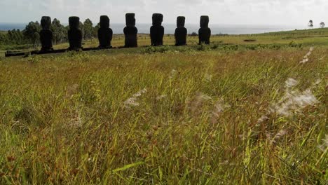 grass blows in front of the easter island statues