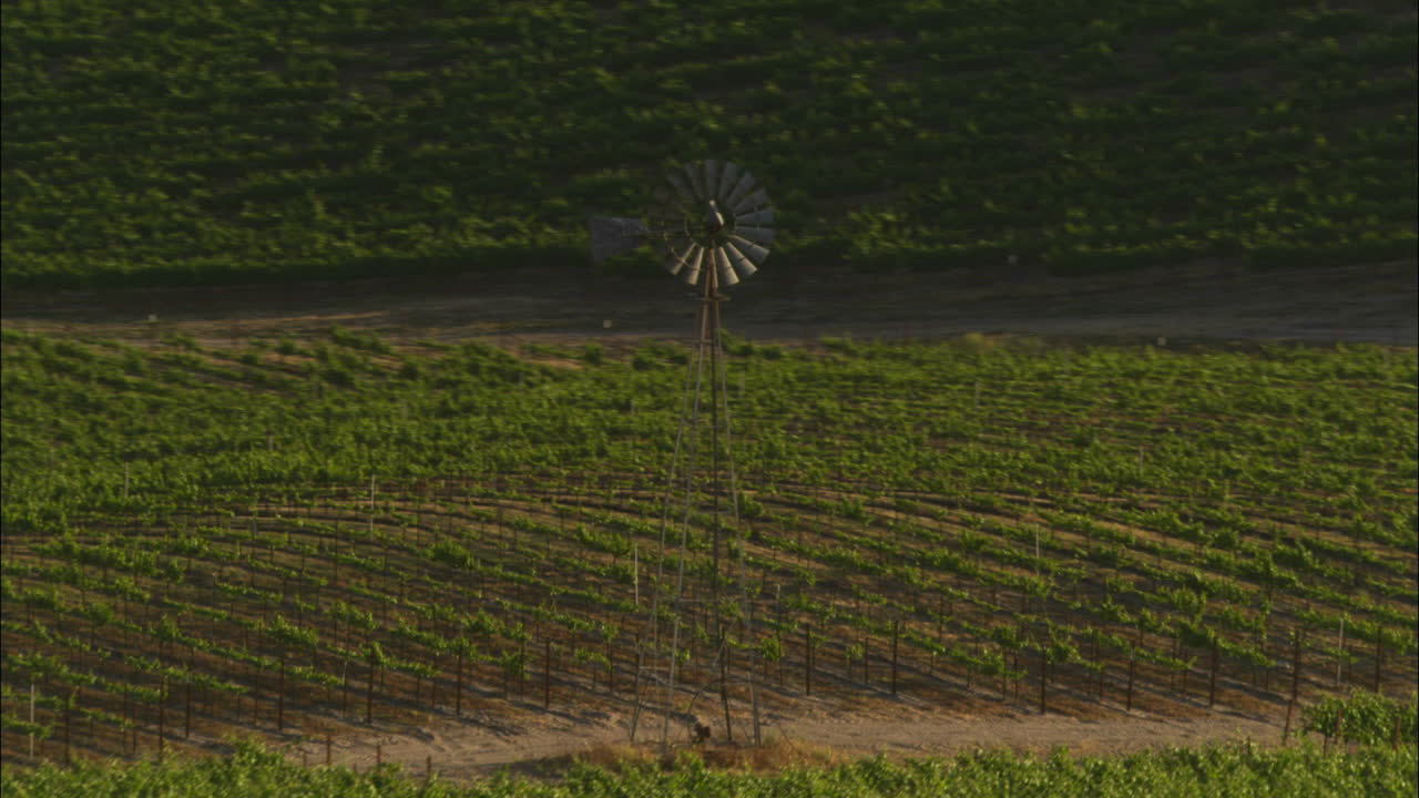 antena de bajo nivel de helicóptero de los viñedos del condado de santa bárbara, california 4