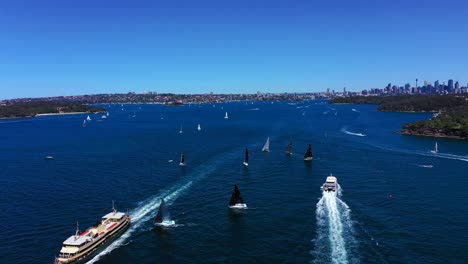 sydney harbor sailing regatta: aerial view of sailboats racing