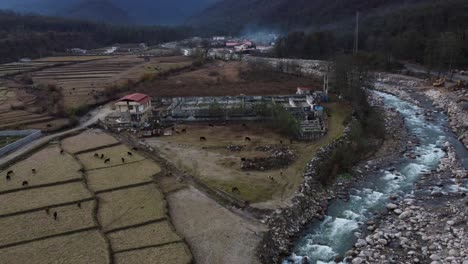 Pueblo-De-Río-Arrozal-Agricultura-Granja-Orilla-Del-Río-Madera-Bosque-Tierras-Altas-Terraza-Campo-Plantación-En-Medio-Oriente-Asia-Naturaleza-Materia-Prima-Comida-Gente-Estilo-De-Vida-En-La-Ciudad-Pueblo-Región-Rural-En-La-Montaña