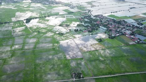 Vista-Aérea-Campo-De-Arroz-Con-Reflejo-Del-Cielo-Nocturno-En-El-Agua.