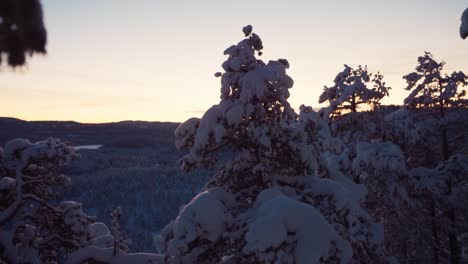 Bosque-De-árboles-Cubiertos-De-Nieve-Durante-La-Puesta-De-Sol-En-La-Montaña-De-Invierno