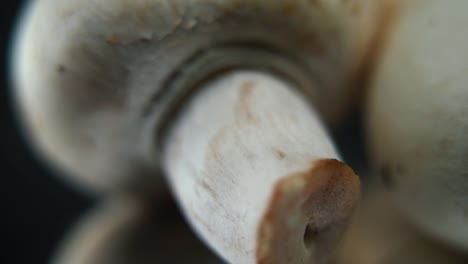 macro crisp video of a pile of mushrooms, detailed raw champignons, white caps reflection, on a rotating stand, smooth movement, slow motion 120fps