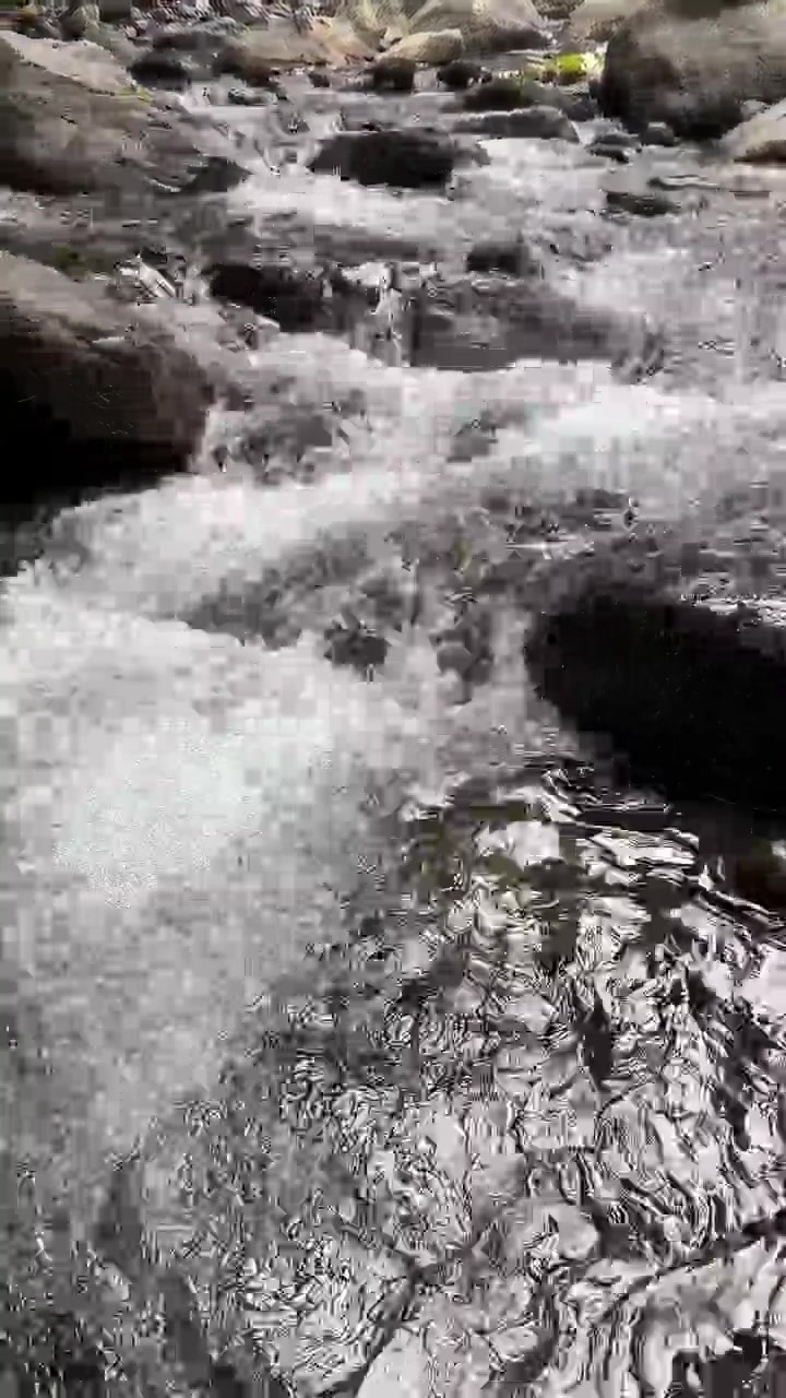 Acqua limpida che scorre sulle rocce in un ruscello di montagna