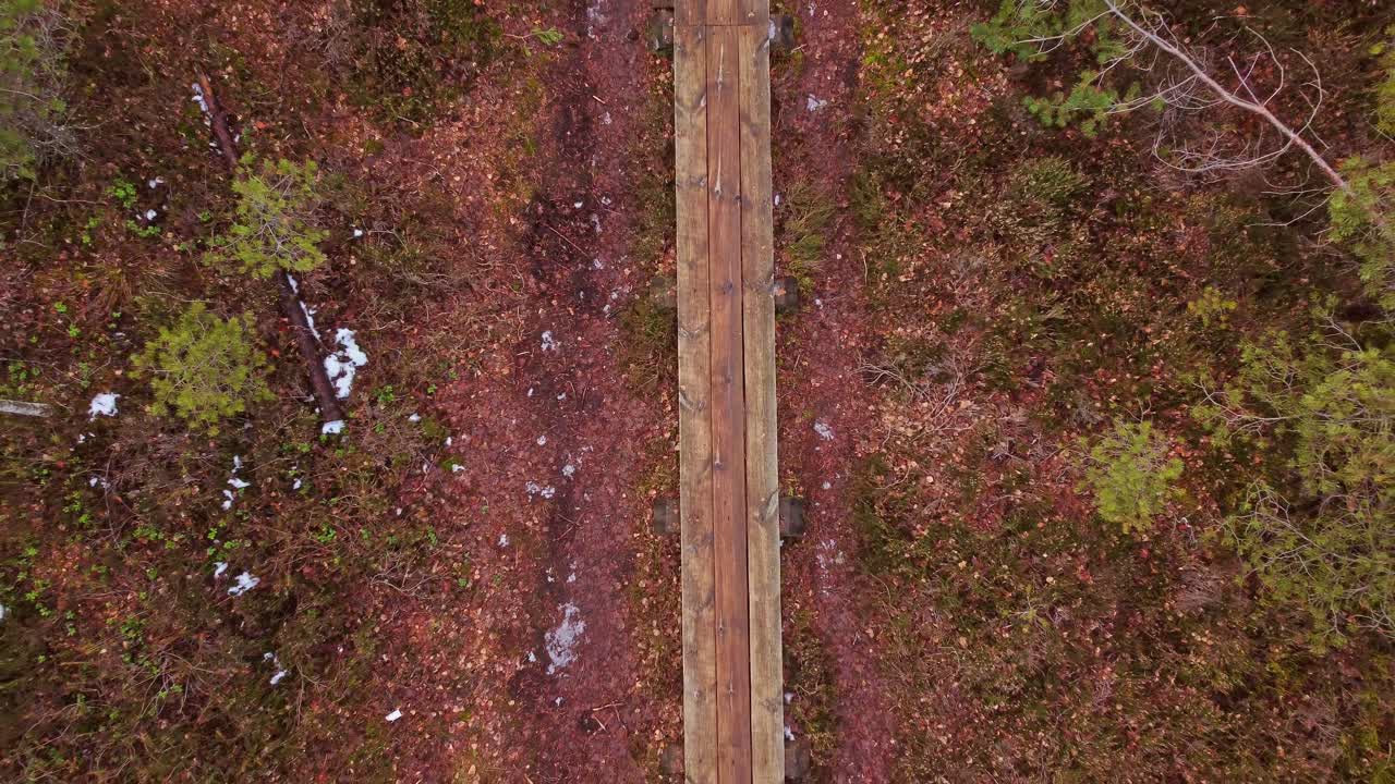 산림 지역 바닥의 나무 판자 통로, 공중 하향식 상승 전망