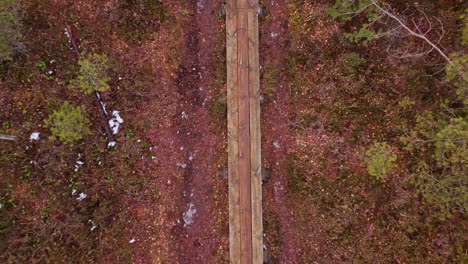 wooden plank pathway on forest area floor, aerial top down ascend view