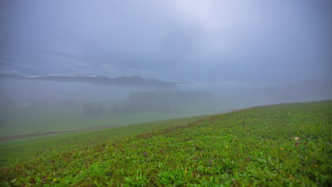 meadow green landscape revealed from heavy fog, time lapse view