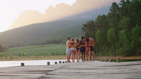 Group-of-friends-admiring-view-from-jetty,-back-view