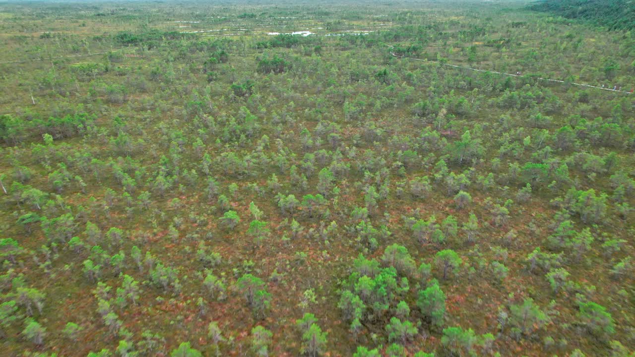 Beautiful aerial view of Kemeri swamp in Latvia showcasing natural patterns