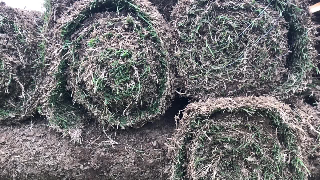 cerrar césped cortado y enrollado listo para transportar para su almacenamiento en auckland, nueva zelanda