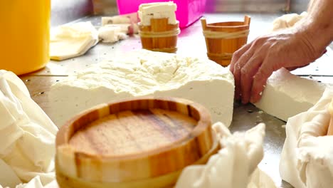 producción de queso en la industria láctea