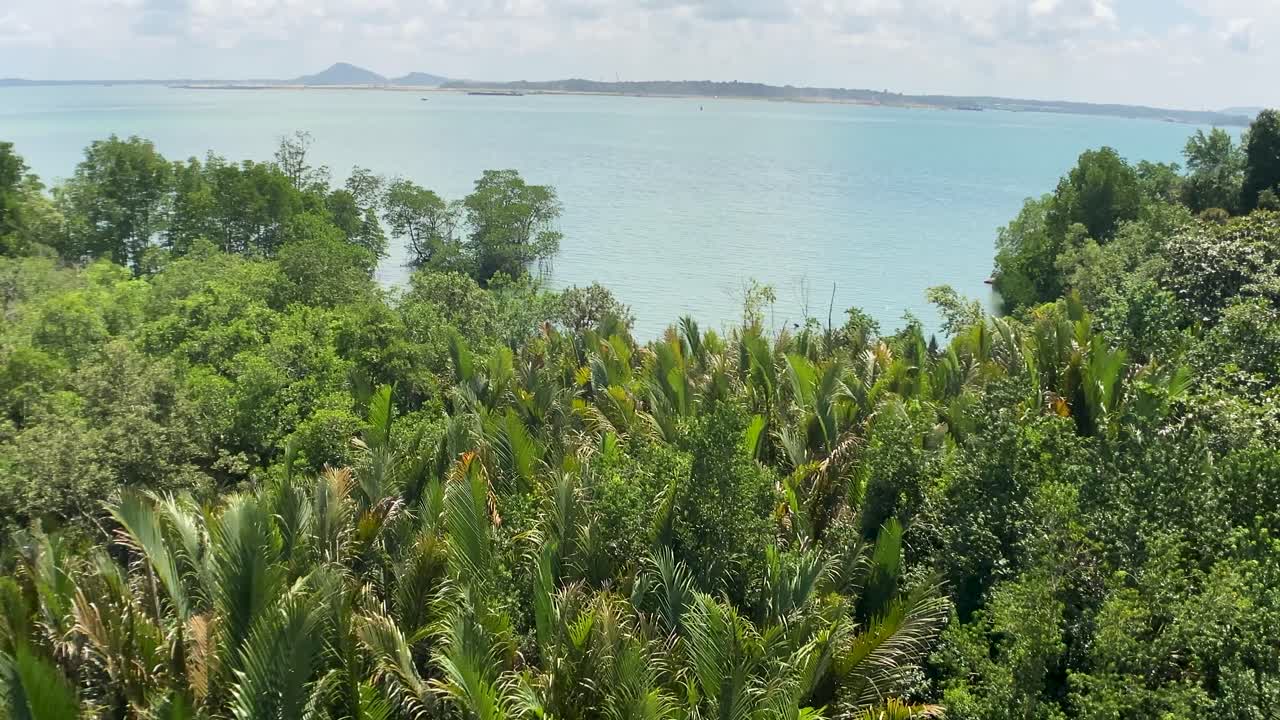 живописный вид с башни джеджави на густой лес в пулау убин - вид на спокойные голубые воды пролива джохор с материком сингапур