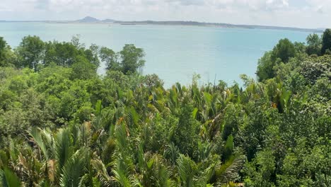 vista panorámica desde la torre jejawi con un denso bosque en pulau ubin - mirando las tranquilas aguas azules del estrecho de johor con el continente de singapur