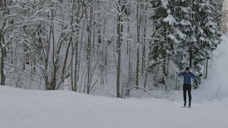 cross-country skiing in snowy forest