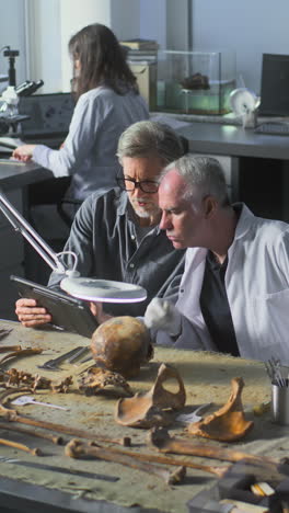 archaeologists examining ancient human remains in a laboratory