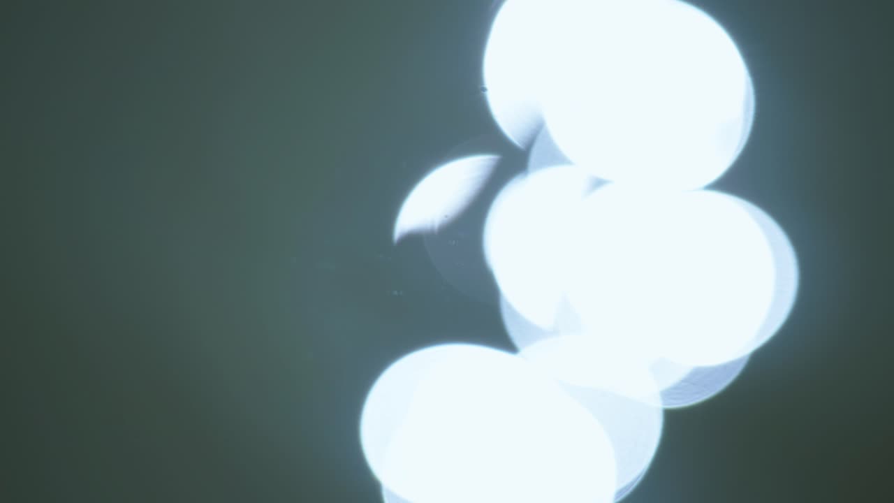 Ethereal Bokeh Circles Floating on a Dark Background