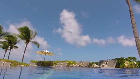 white clouds moving in the blue sky while palm tree leaves move with the wind