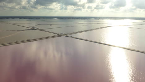 salt evaporation ponds with pink saline water in mexican yucatan bay