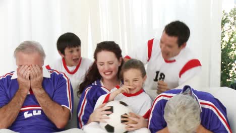 family watching a football match in television