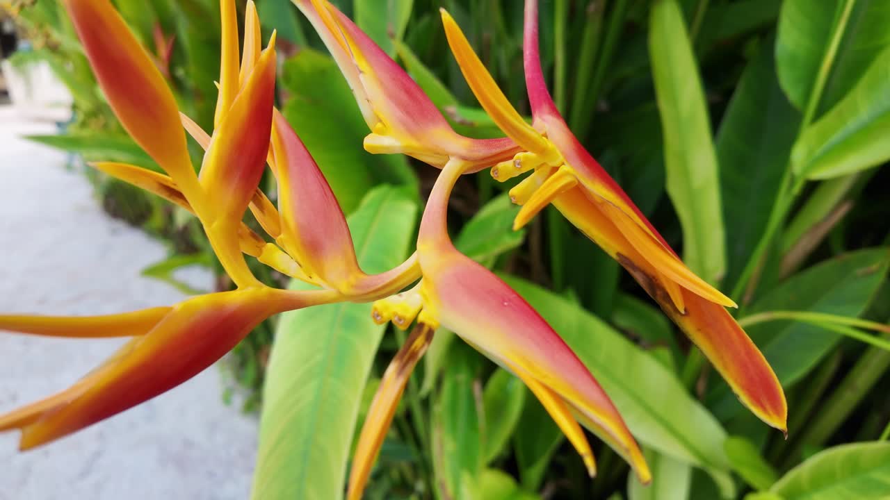 Experience luxury at its finest – stunning b-roll of our unforgettable Xcarte hotel stay. Tour the views, vibes, and elegance in every frame! #Travel #LuxuryHotel #Xcarte