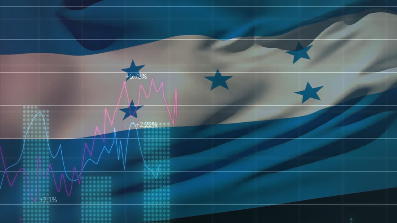 몬두라스 발을 통해 금융 데이터 처리의 애니메이션