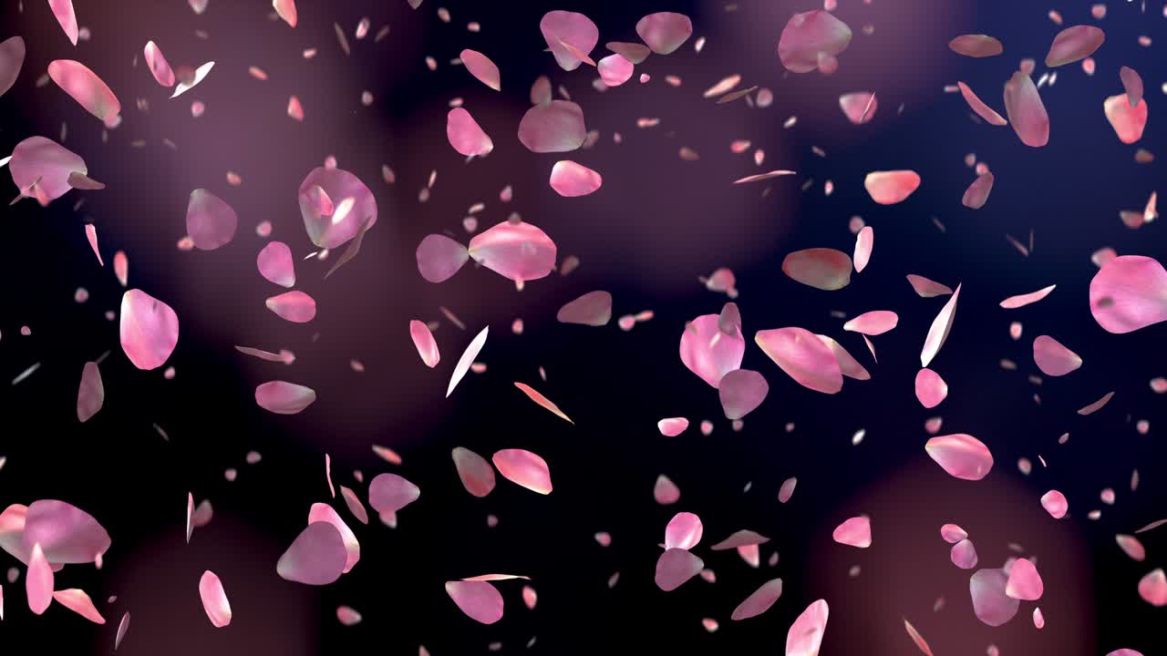 아름다운 검은 바탕에 떨어지는 분홍색 장미 잎자루