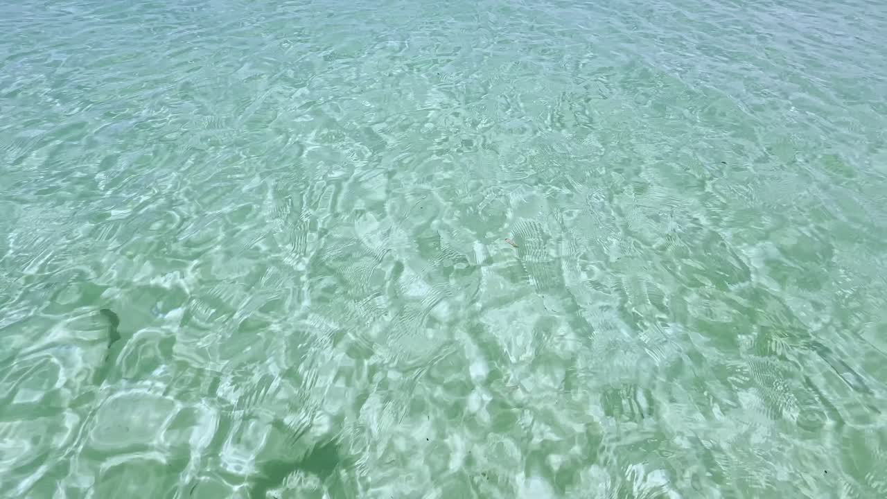 그리스 할키디키 반도의 청정 파란 발 해변