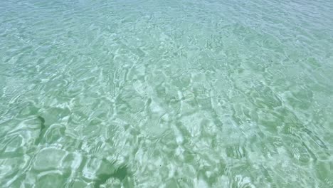 playas limpias con bandera azul de la península de halkidiki, grecia