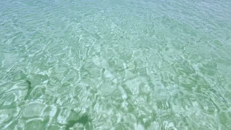 clean blue flag beaches of halkidiki peninsula, greece