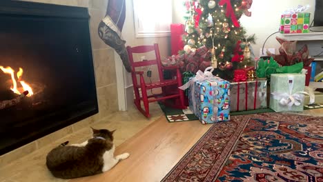 un gato doméstico se sienta junto a una acogedora chimenea en la temporada navideña con regalos debajo de un árbol