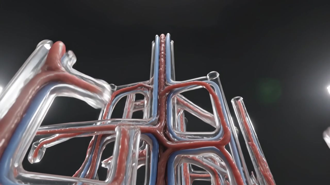 Starting low base, camera rising revealing tubular glass tower in studio to showcase red blue cores