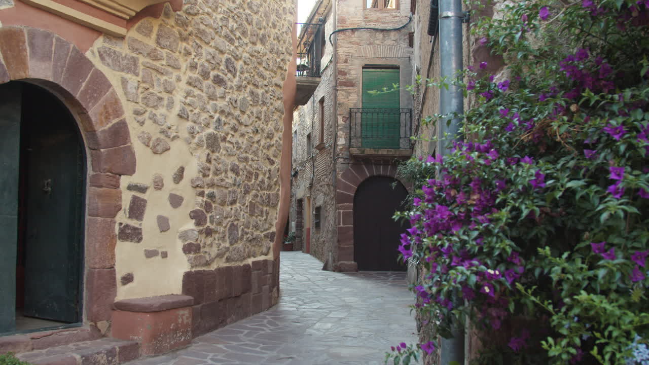 Fiori in una piccola strada di un paese rurale in Spagna.