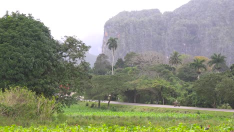 an establishing shot of beautiful vinales national park cuba