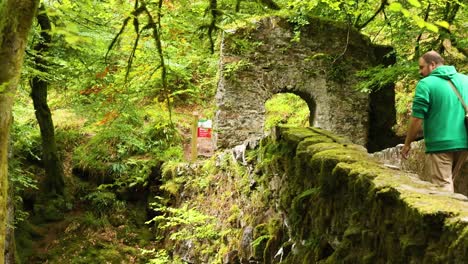 two people pointing at scenic bridge