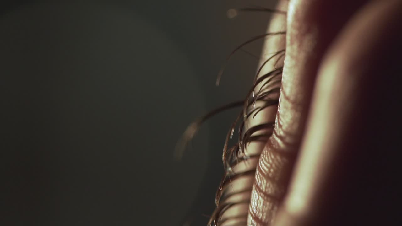 인간의 피부와 손가락의 근접한 모습