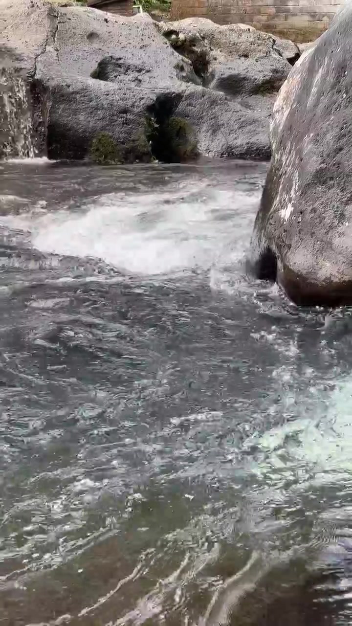 Acqua limpida che scorre sulle rocce in un ruscello di montagna