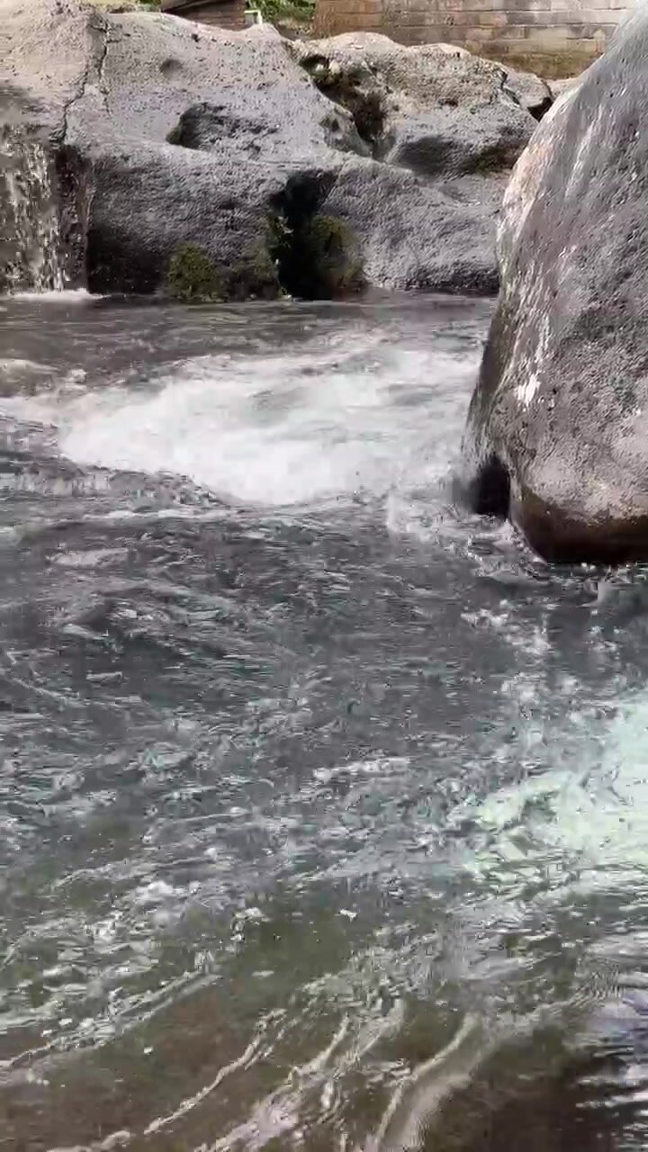 Acqua limpida che scorre sulle rocce in un ruscello di montagna