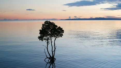 árbol-En-Medio-De-Un-Lago