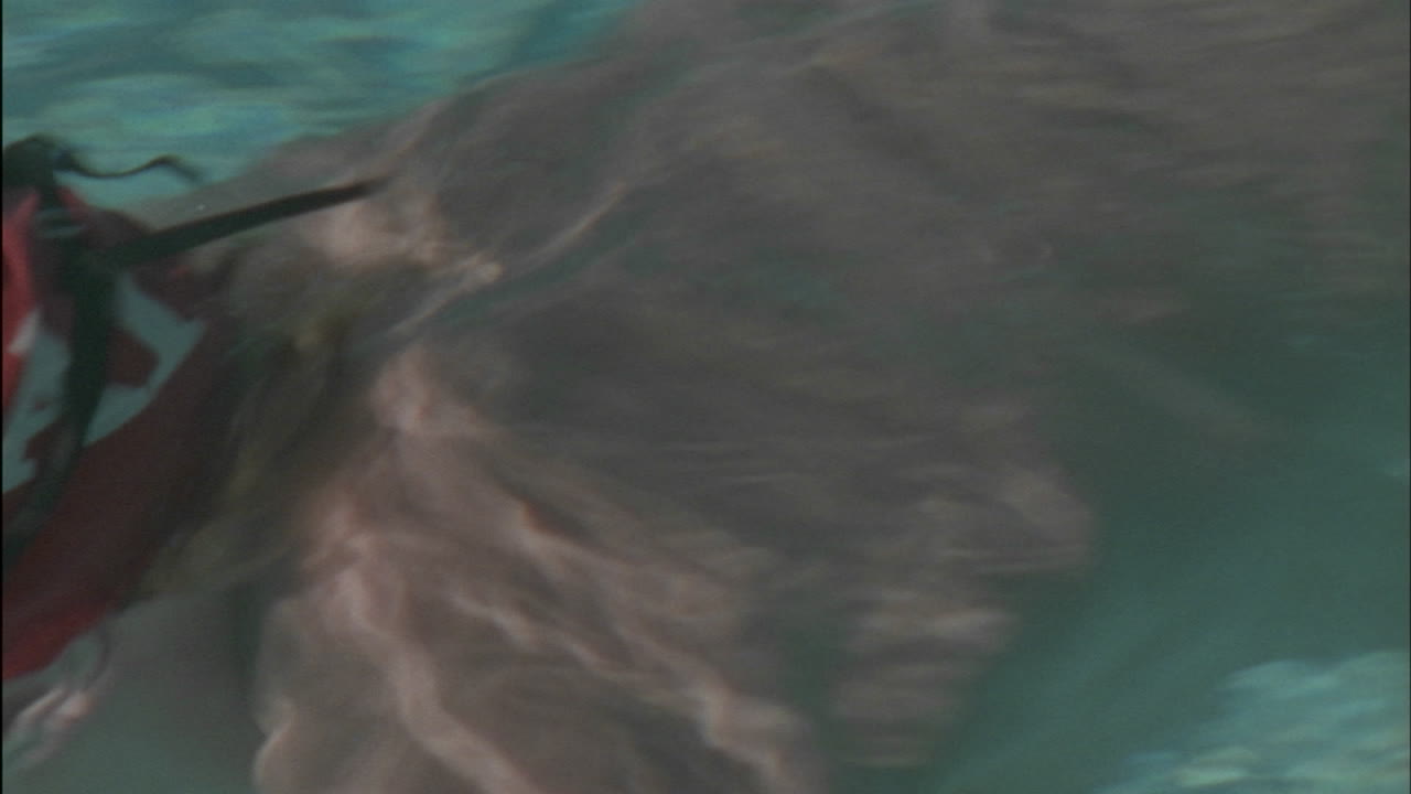 한 남자가 수영장을 가로질러 헤엄친다