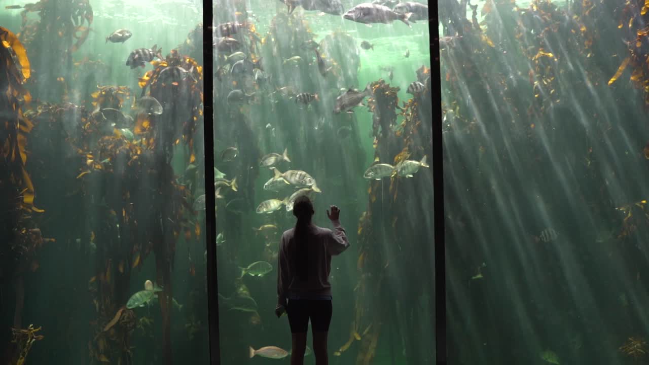 mujeres con máscaras caminan hacia una gran pecera en el acuario con peces y algas en el agua y los rayos del sol brillan