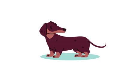 cute cartoon dachshund