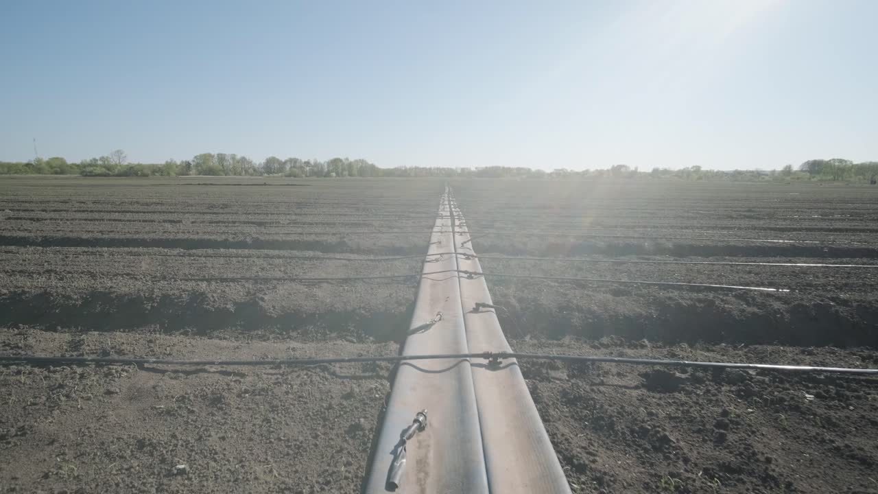농경지에서의 관개 시스템: 농장에서 사용되고 있는 물을 절약하는 물방울 관개 시스템.