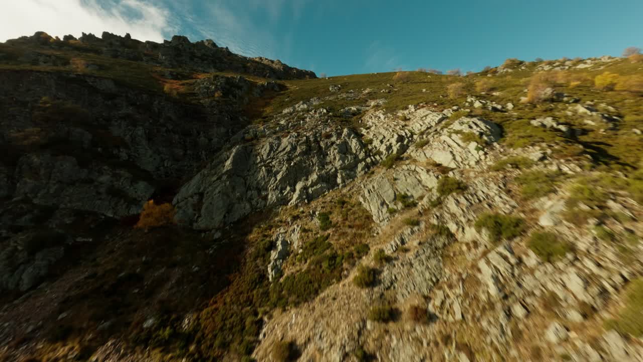 Volo FPV sopra una foresta rigogliosa con tonalità autunnali dorate